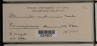Image Associated With the Occurence